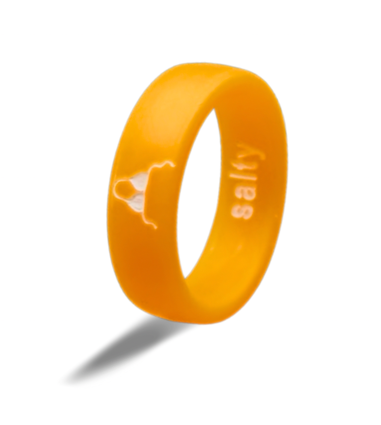 Flip Reversible bikini / salty ring