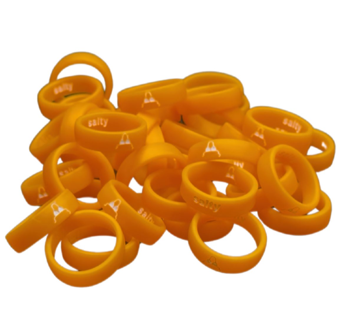 Flip Reversible bikini / salty ring