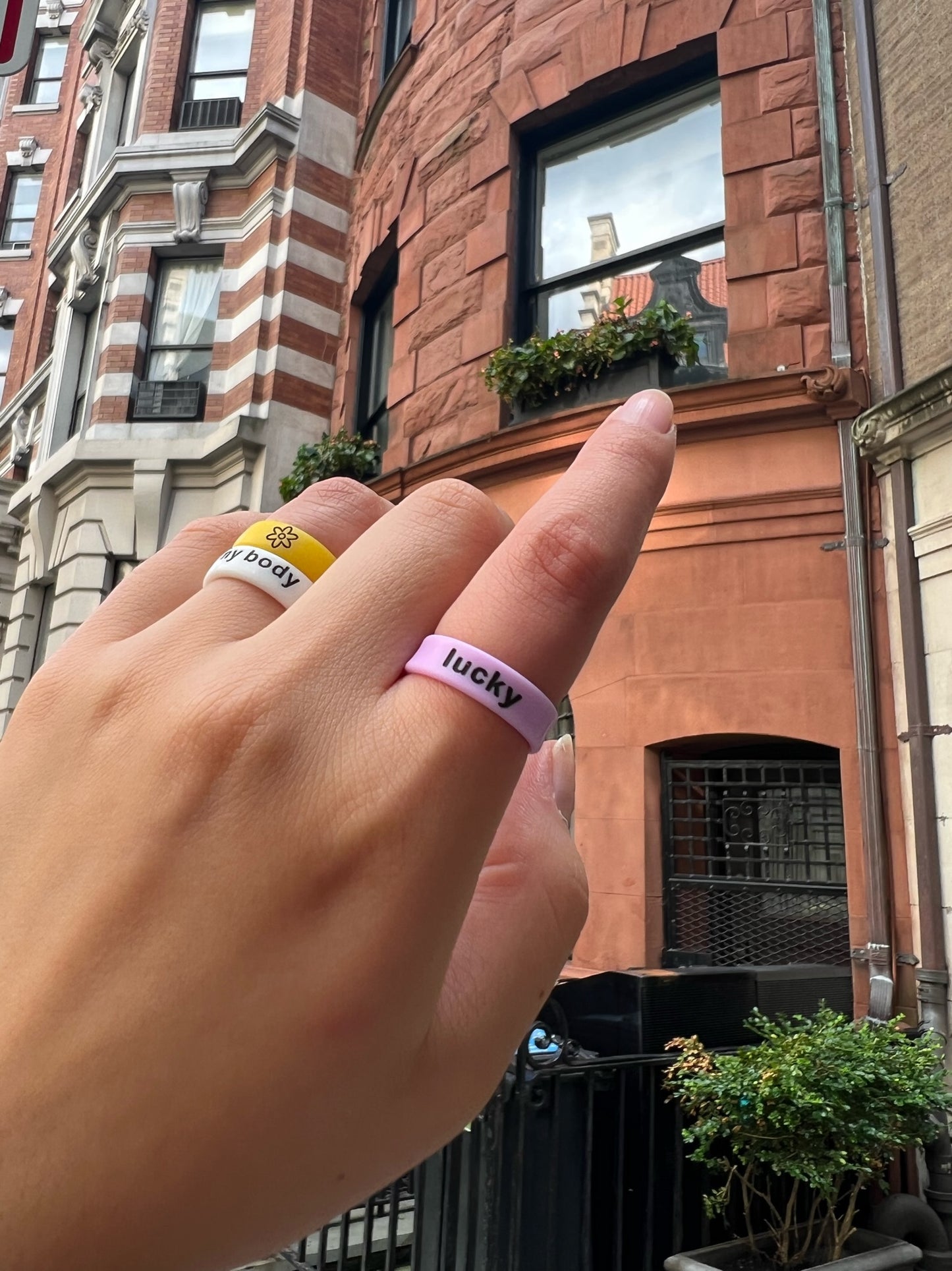 Flip Reversible horseshoe / lucky ring