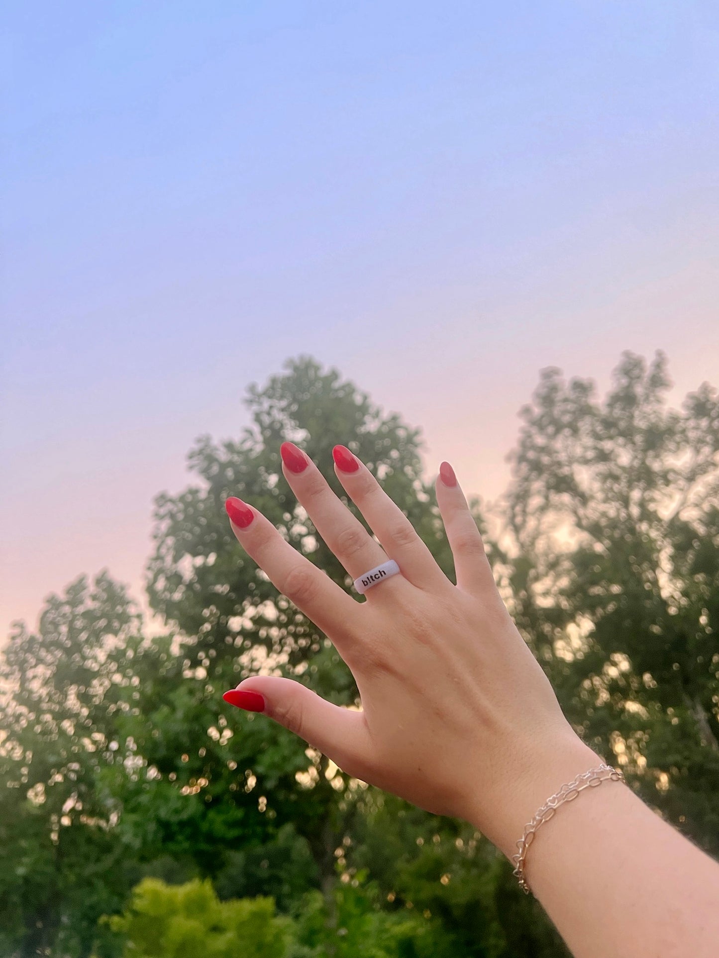 Flip Reversible b!tch / legend ring