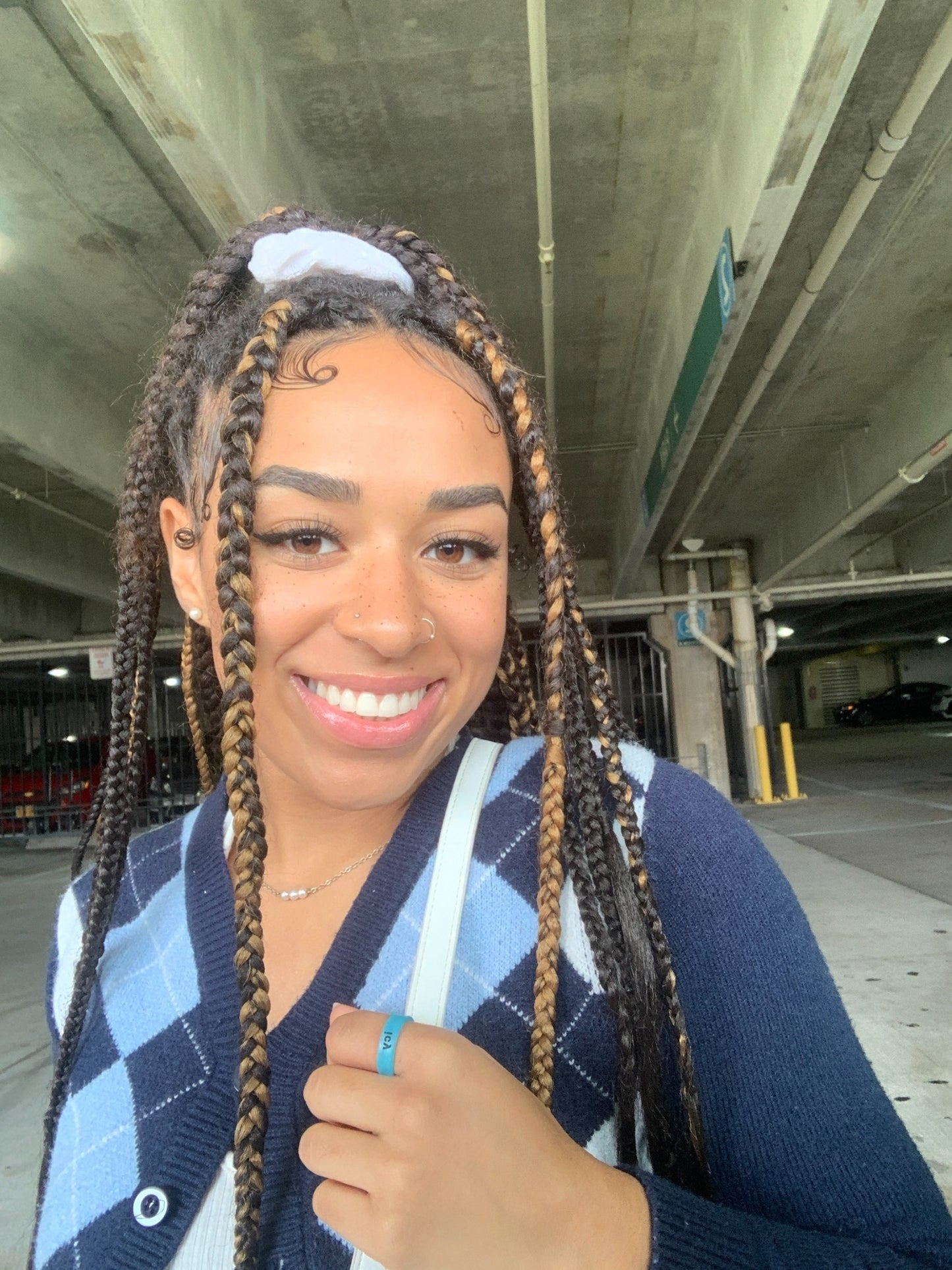 Flip Reversible snowflake / icy