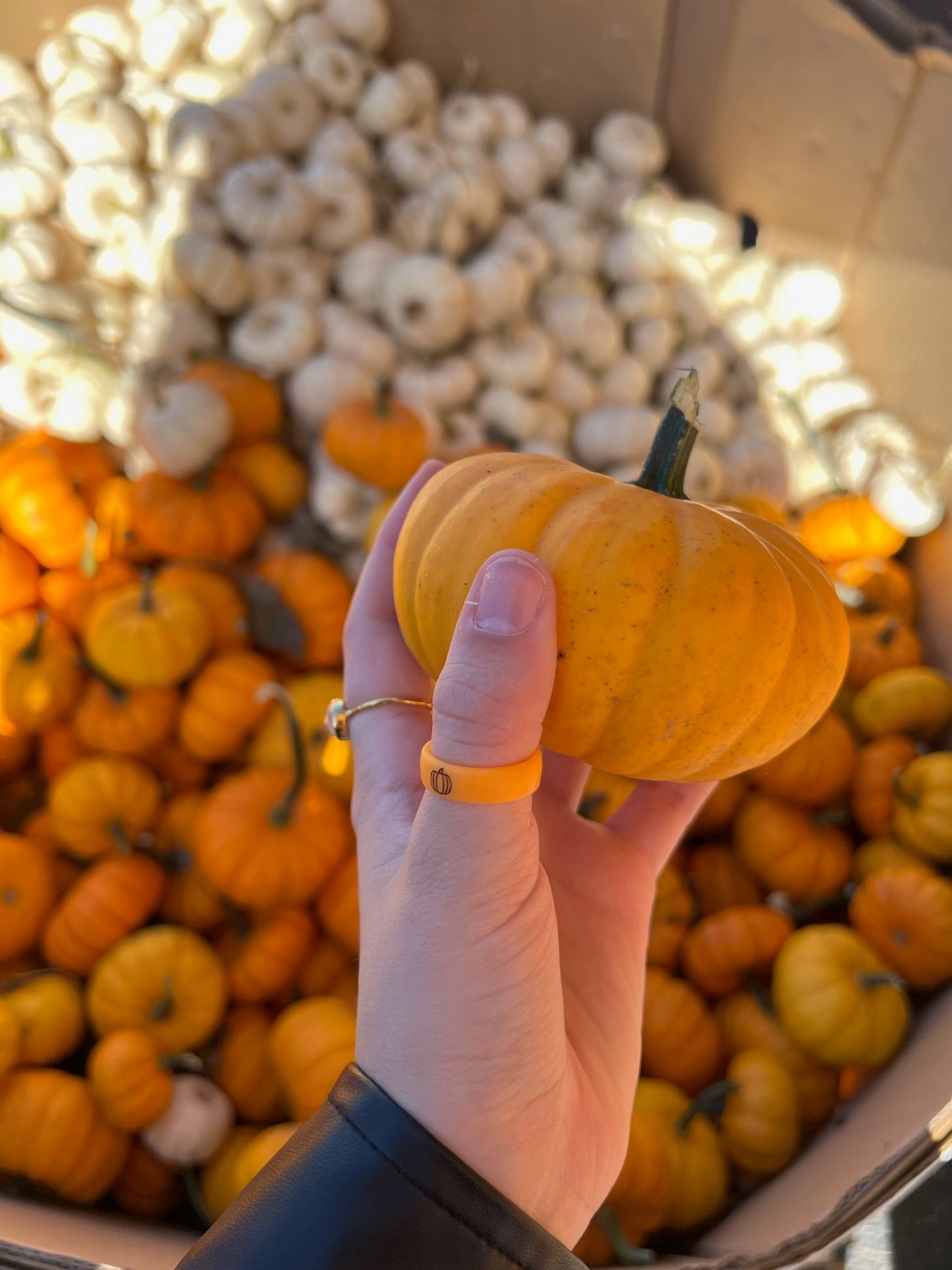 Flip Reversible pumpkin / fall y'all ring