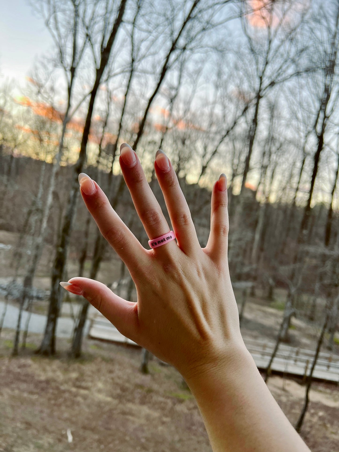 Flip Reversible it's not me / it's you Ring