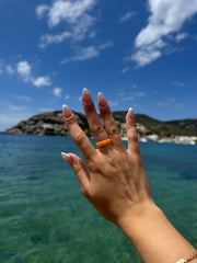 Flip Reversible bikini / salty ring