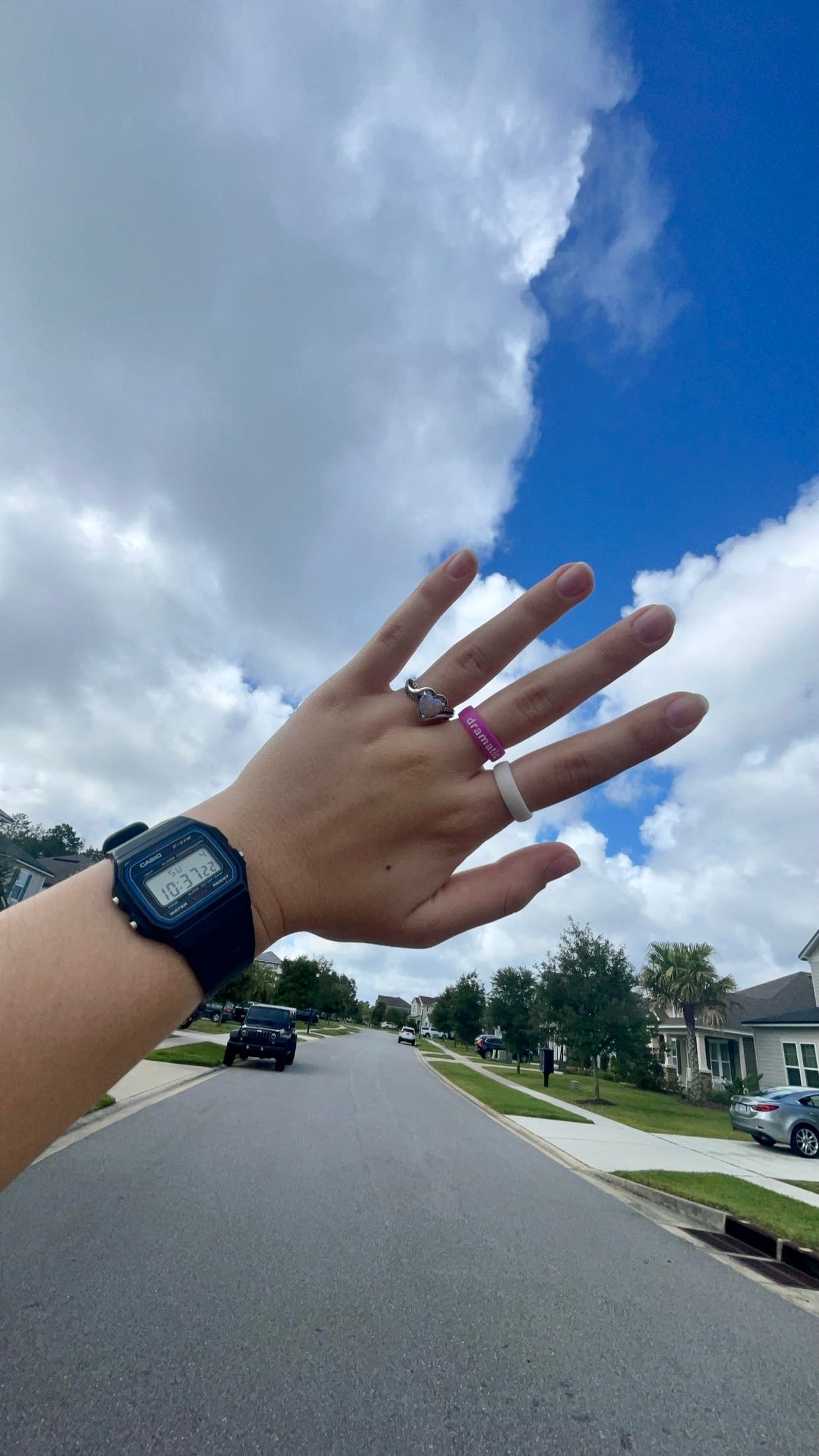 Flip Reversible dramatic / princess ring