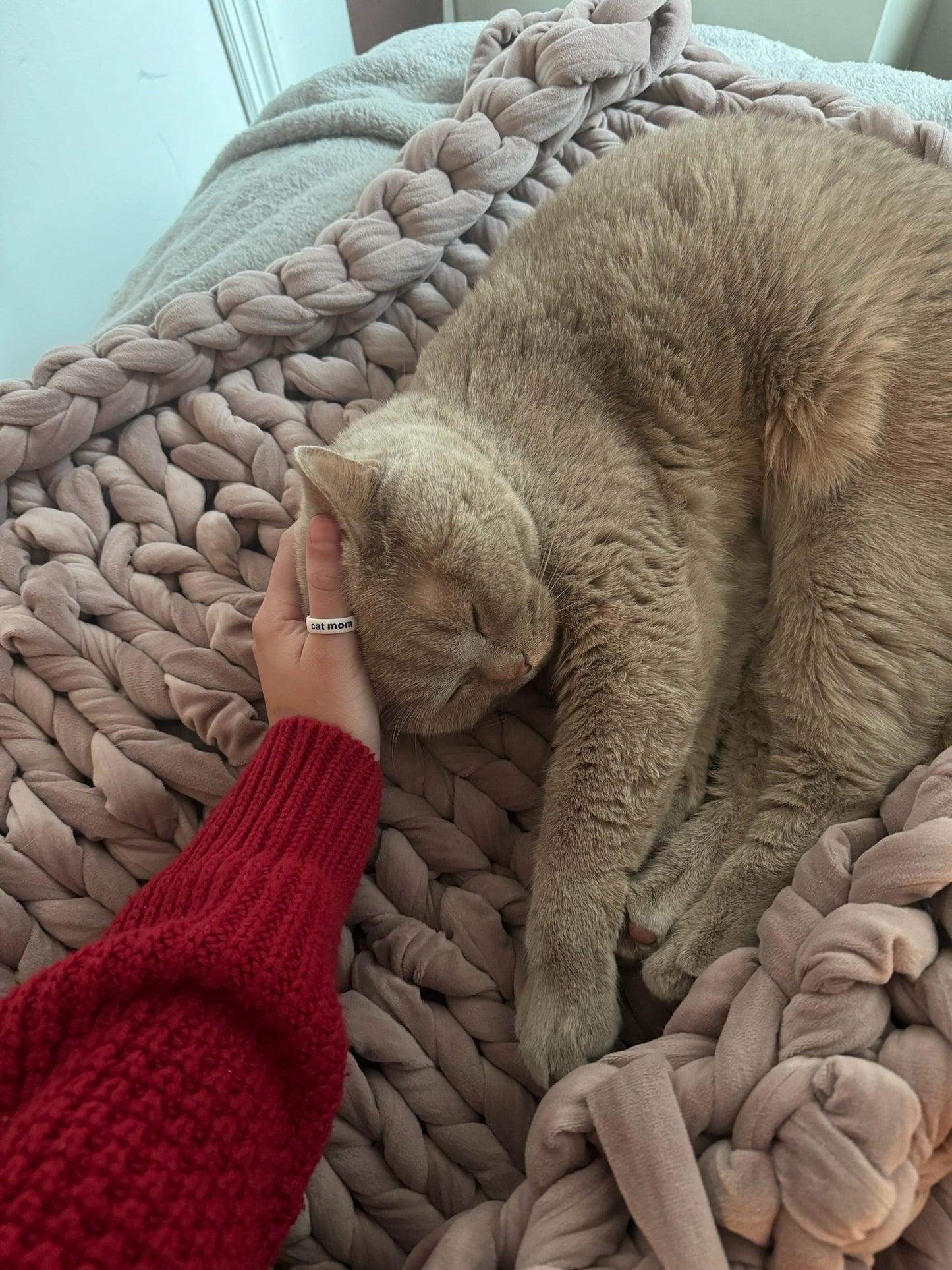 Flip Reversible cat mom / meow ring