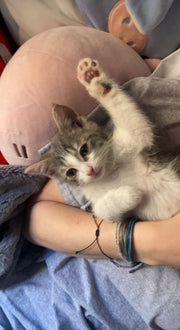 Flip Reversible cat mom / meow ring