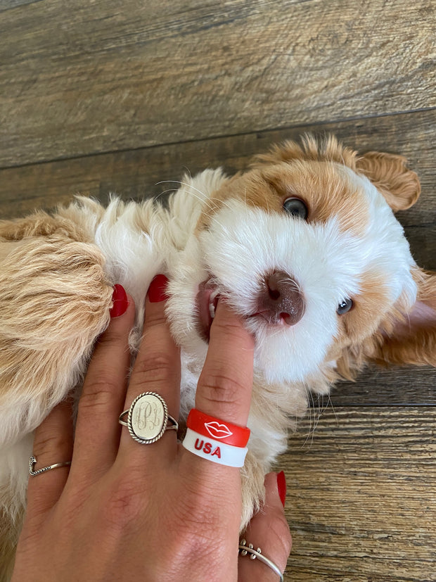 Flip Reversible star / USA ring
